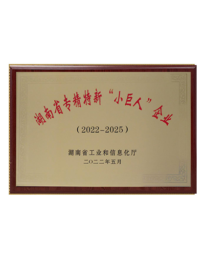 湖南省專精特新“小巨人”企業(yè)